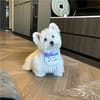 আঁখি আক্তার avatar